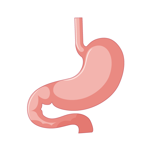 Medical Gastroenterology Treatment in Nellore