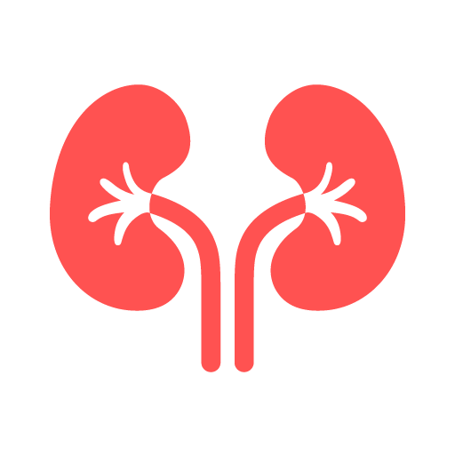 Nephrology Treatment in Nellore