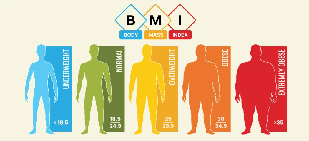 బాడీ మాస్ ఇండెక్స్ కాలిక్యులేటర్ BMI