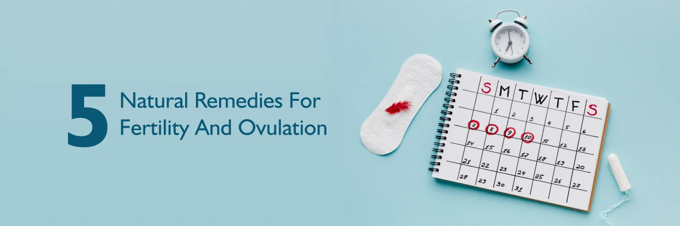 Natural Remedies for Fertility and Ovulation
