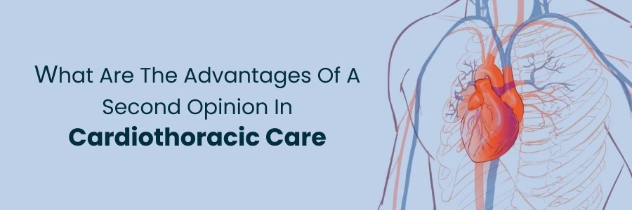 Benefits and Usage of Ebernet M cream