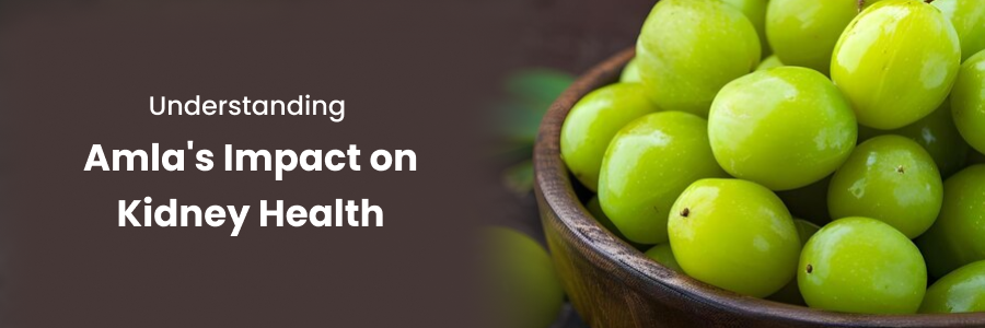 amla side effects on kidney Dr_name Dr P Naveen Kumar Dr_profile_link https://www.medicoverhospitals.in/doctors/dr-p-naveen-kumar