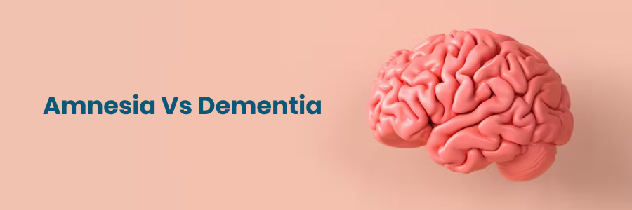 Amnesia Vs Dementia