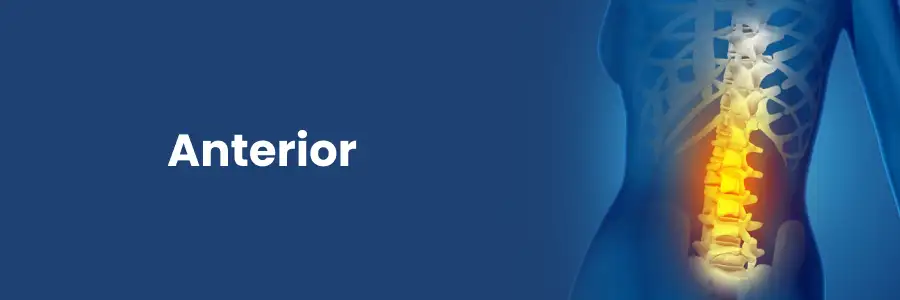 Anterior