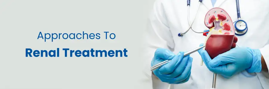 Approaches To Renal Treatment