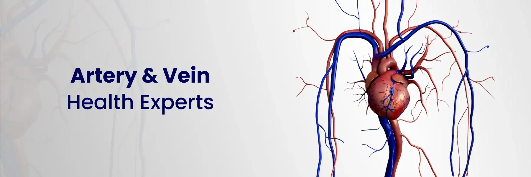 Artery and Vein Health Experts in Hyderabad