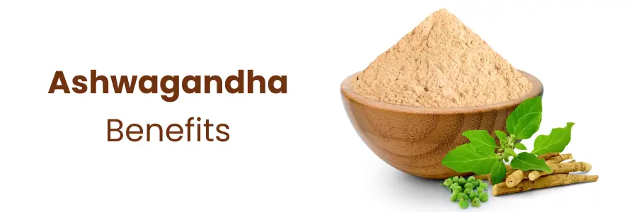 The Complete Guide to Ashwagandha: Health Benefits and More