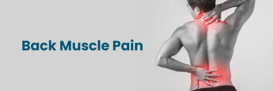 Back Muscle Pain