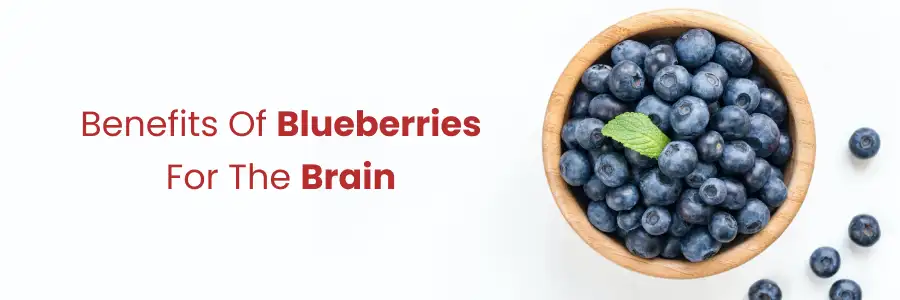 Benefits of blueberries for the brain