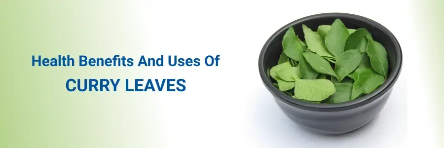 benefits of curry leaves Dr_name Dr Raja Selvarajan Dr_profile_link https://www.medicoverhospitals.in/doctors/dr-raja-selvarajan