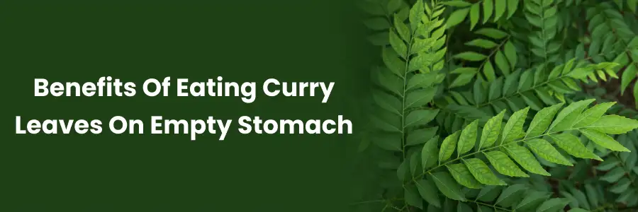 Curry Leaves Benefits on Empty Stomach