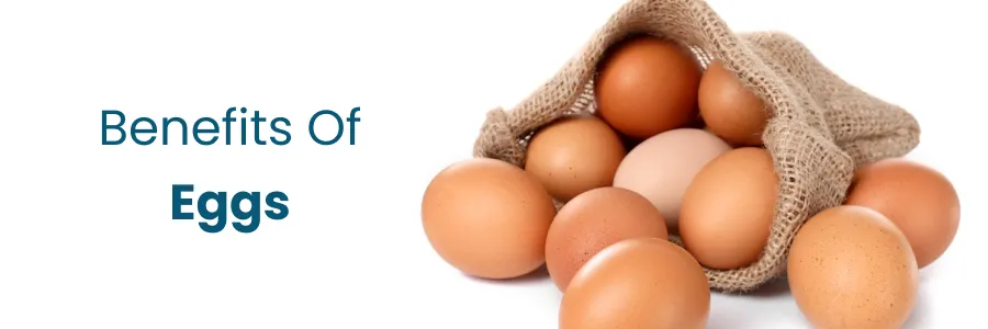 Benefits Of Eggs