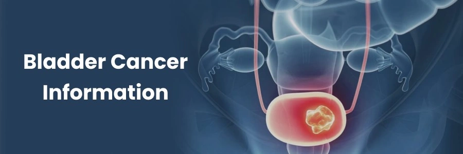 Bladder Cancer Information Hyderabad Bladder Cancer Information Hyderabad