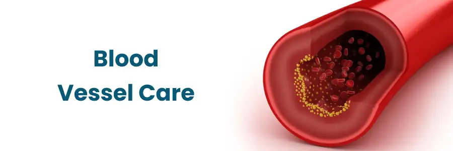 Blood Vessel Care in Bengaluru
