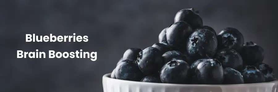 Blueberries: Brain Boosting Power