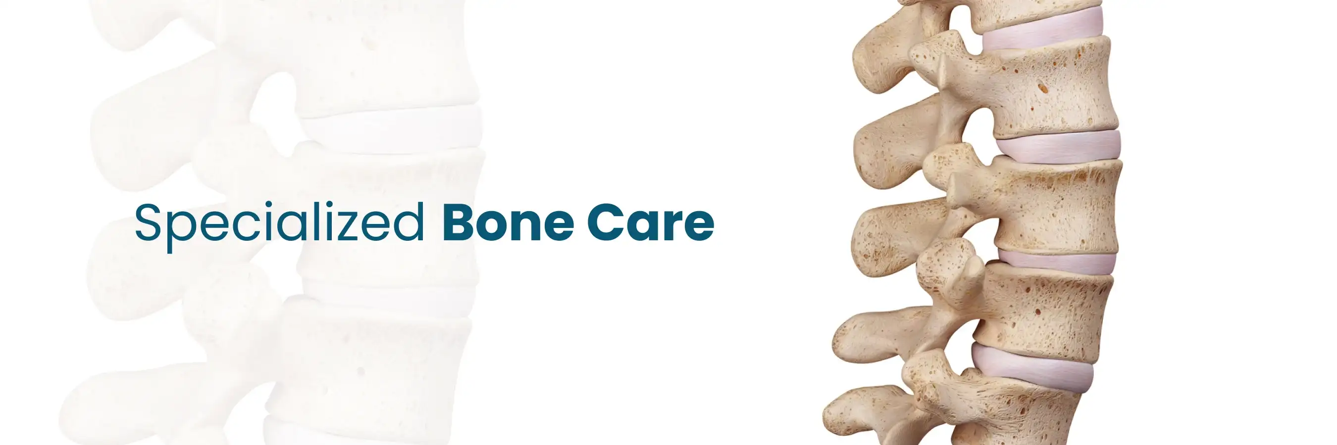 Specialized Bone Care Services for Optimal Skeletal Health