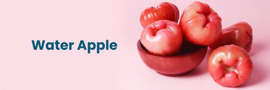 Long-Term Recovery Strategies for Bone Marrow Edema