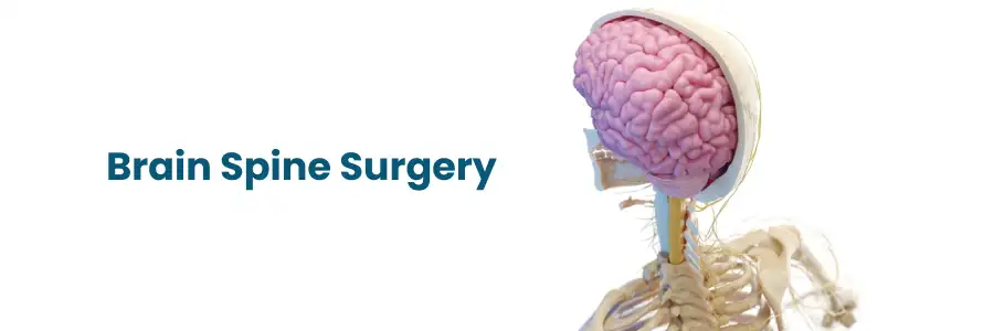 Brain and Spine Surgery Services in Sangamner