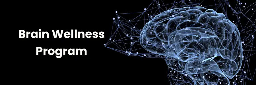 Brain Wellness Program