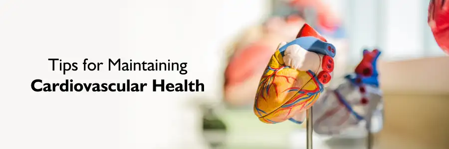 Cardiovascular Health in Warangal