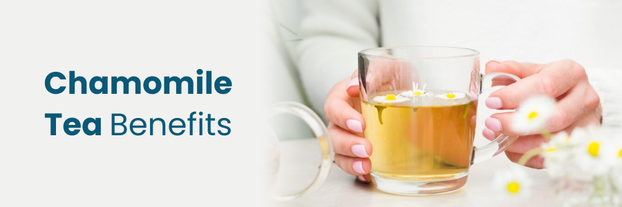 Chamomile Tea Benefits