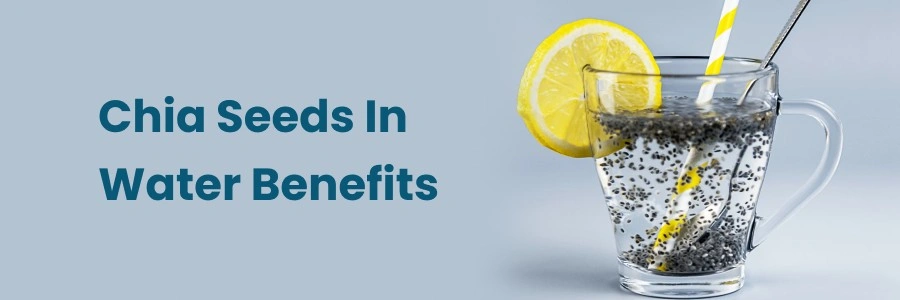 Chia Seeds In Water Benefits