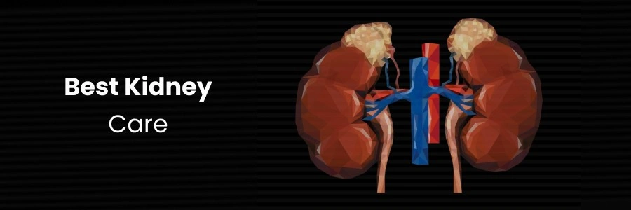 Choose Best Kidney Care Providers