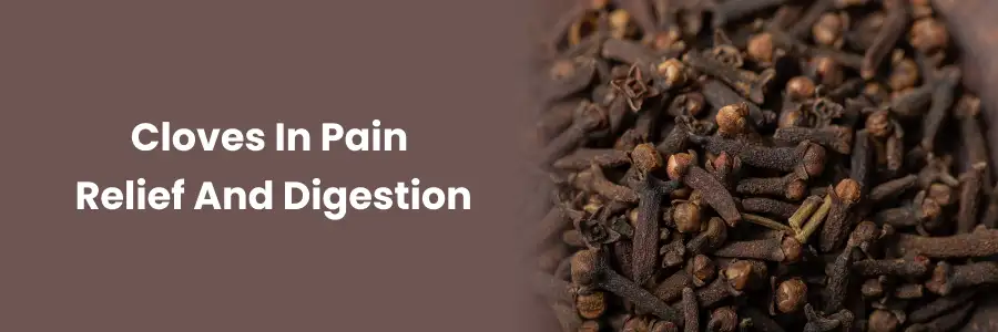 Cloves for Pain Relief & Digestion