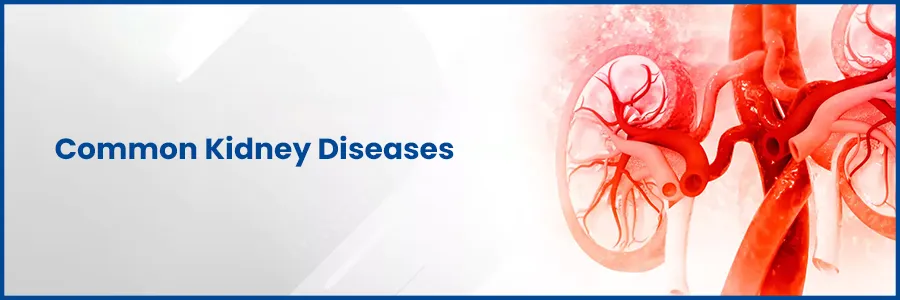 Common Kidney Diseases and Their Symptoms: A Comprehensive Guide