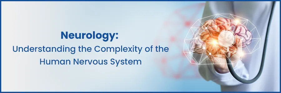 Neurology: Complexity of the Human Nervous System