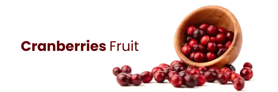 Everything You Need to Know About Cranberries: Benefits and More