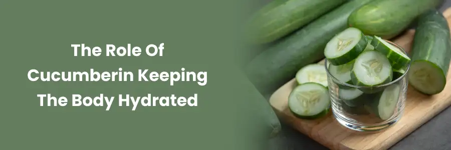 "Cucumber: Hydration Powerhouse"