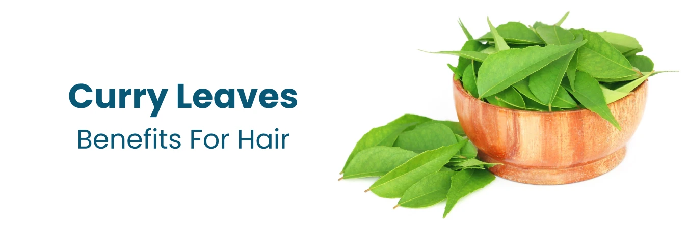 Curry Leaves Benefits for Hair