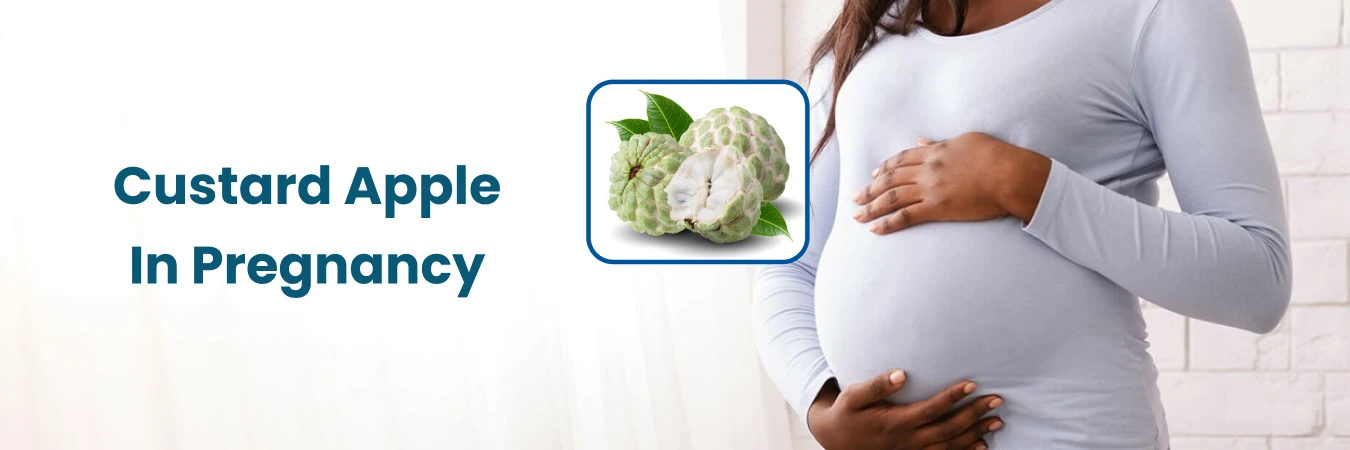 Custard Apple in Pregnancy
