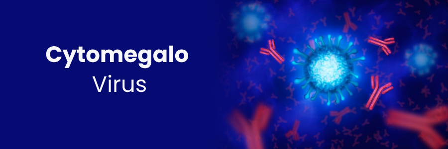 Cytomegalovirus