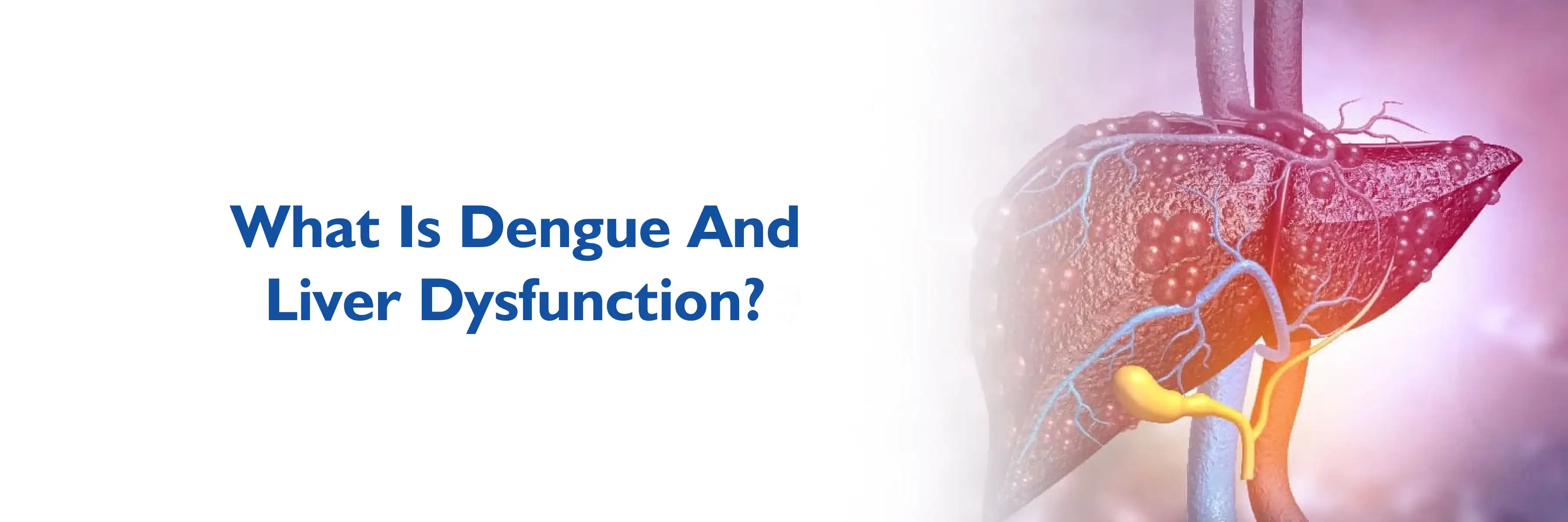 Dengue And Liver Dysfunction