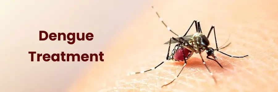 Dengue Treatment in Begumpet
