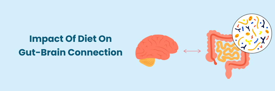 "Diet's Influence on Gut-Brain Link"