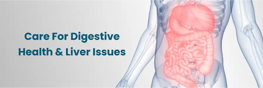 Digestive health liver issues kurnool
