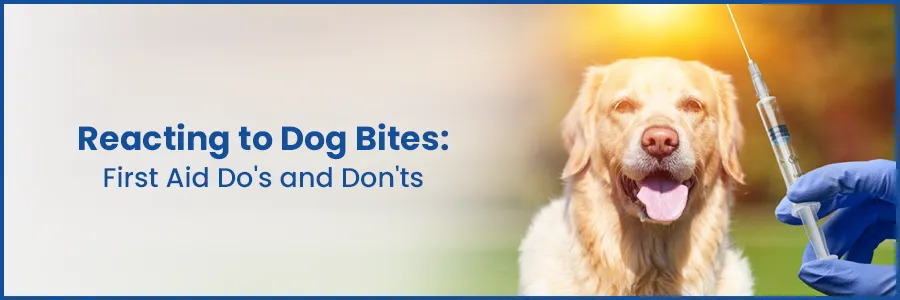 Quick Guide: First Aid Do's and Don'ts for Reacting to Dog Bites