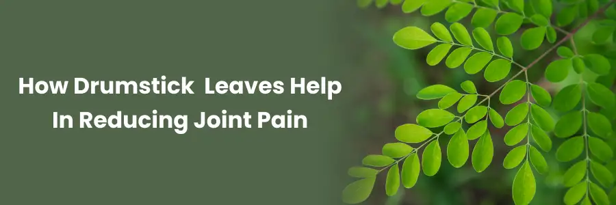 Drumstick Leaves for Joint Pain Relief