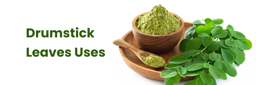 Drumstick Leaves Uses