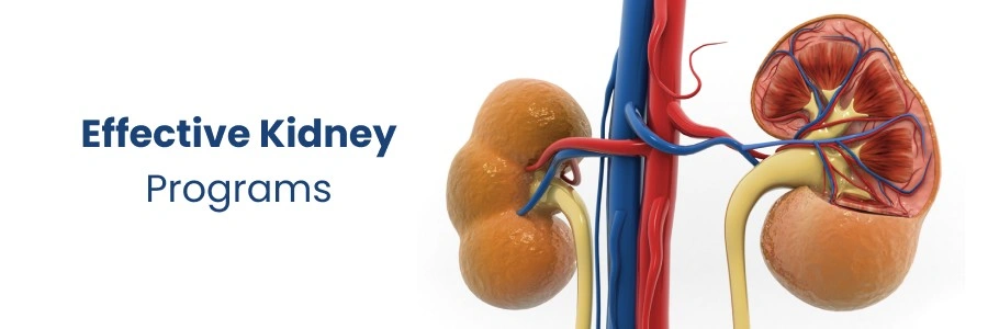 Effective Kidney Health Programs