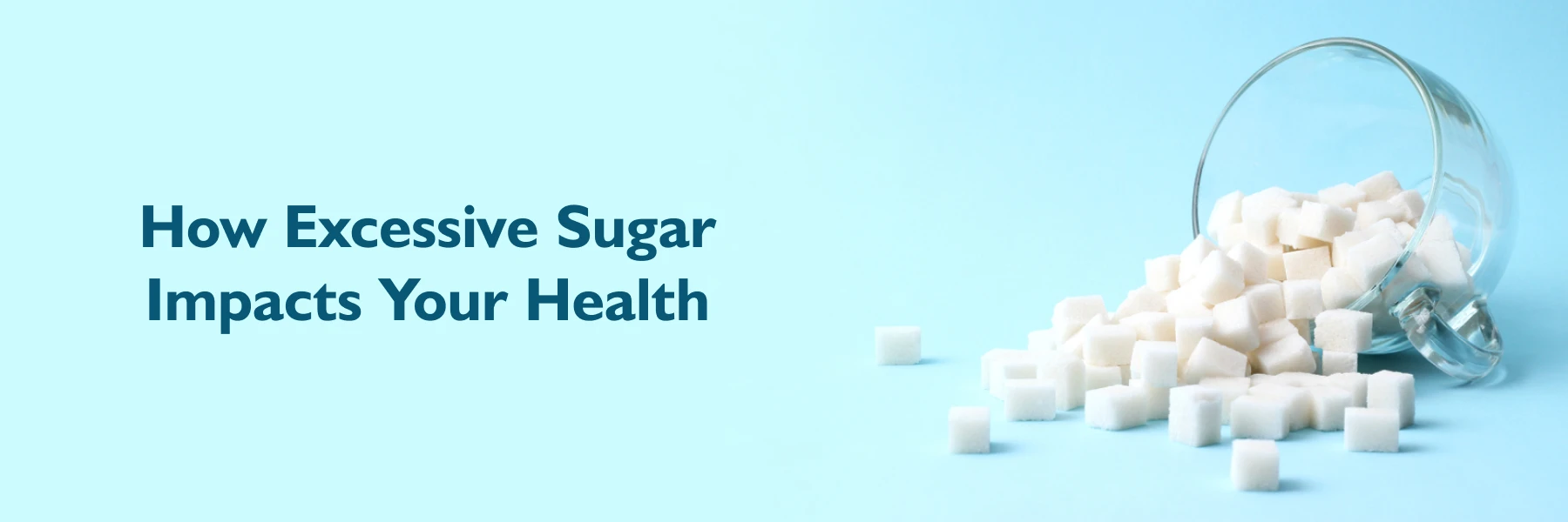 Effects Of High Suger Intake