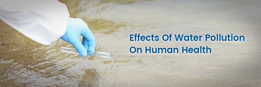 Effects Of Water Pollution On Human Health