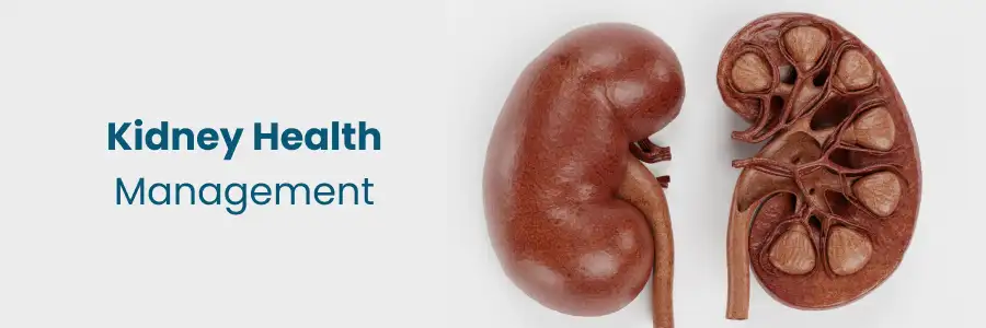 Enhancing Kidney Health