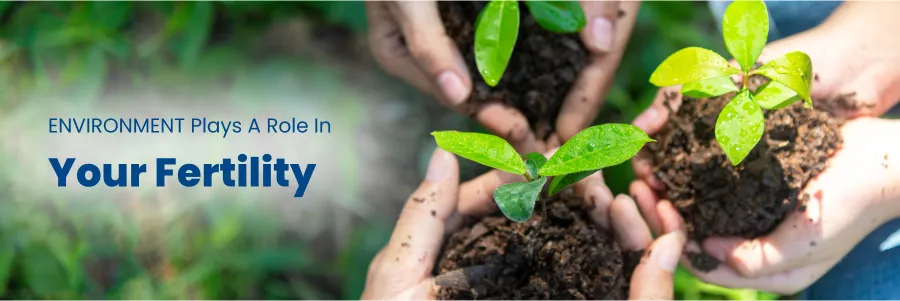 Environment Role Fertility