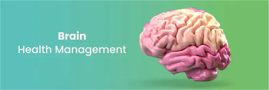 Expert Brain Care and Health Management in Hyderabad