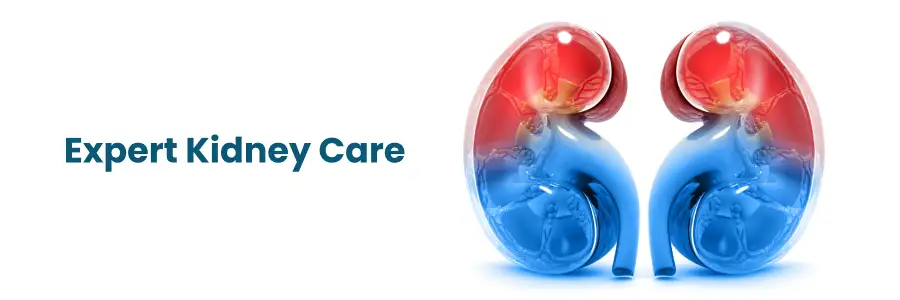 Expert Kidney Care and Health Services in Hyderabad