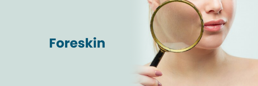 Foreskin